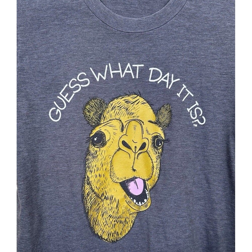 Geico Guess What Day It Is Hump Day Camel Funny Graphic T-Shirt Boys Size 12/14